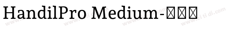 HandilPro Medium字体转换